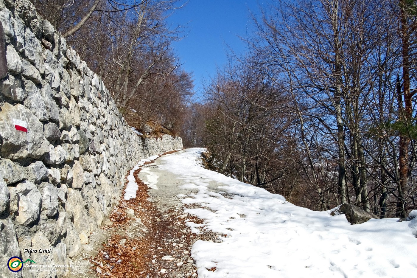 11 Sulla strada agrosilvopastorale della Buffalora a tratti cementata .JPG -                                